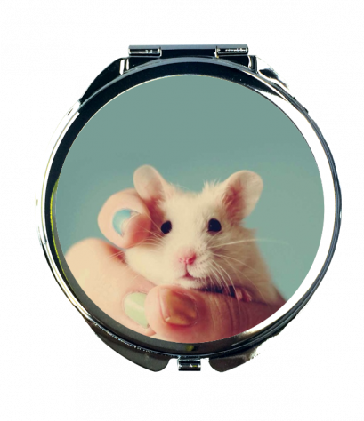 กระจกพิมพ์ลาย Cute animal Mirror